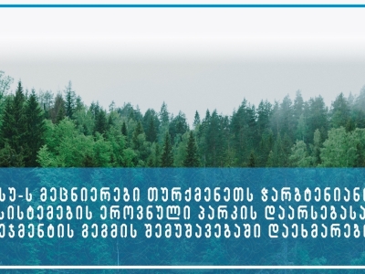 გადიდება სურათი