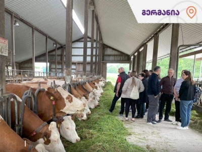 გადიდება სურათი