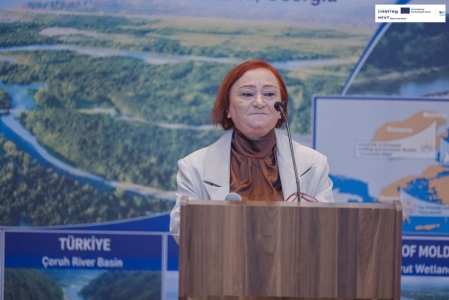 სურათი
