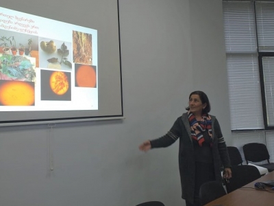 გადიდება სურათი