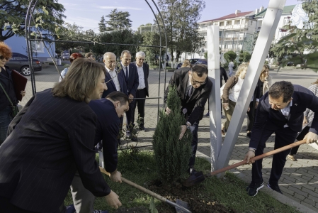 სურათი