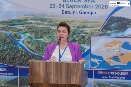 სურათი