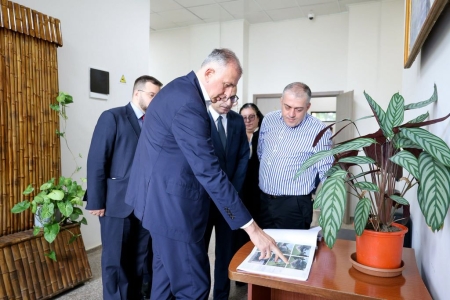 სურათი