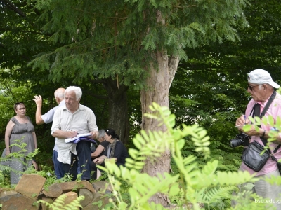 გადიდება სურათი