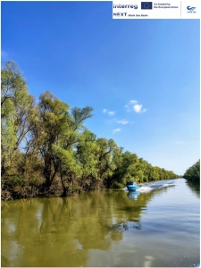 სურათი