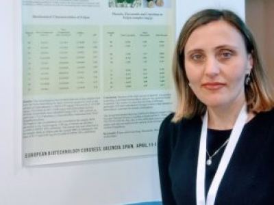 გადიდება სურათი