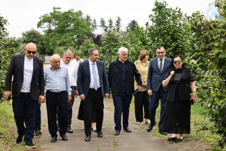 სურათი