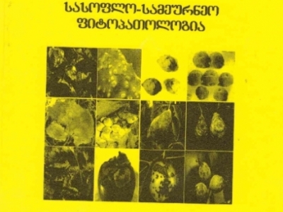 გადიდება სურათი